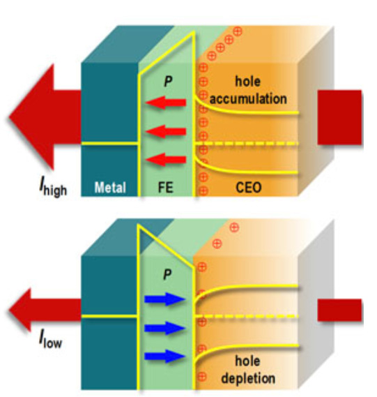 2D ferroelectricity | Ji Group@Renmin Univ.