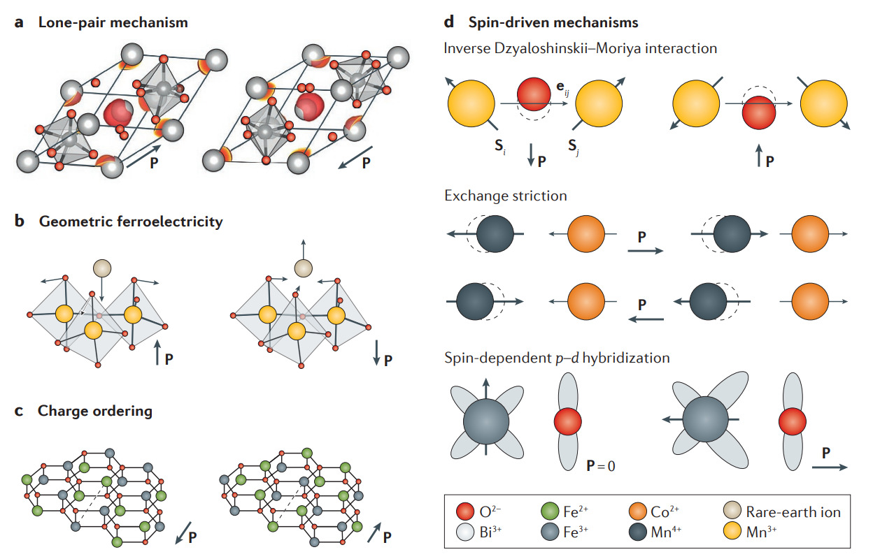 2D Multiferroics | Ji Group@Renmin Univ.