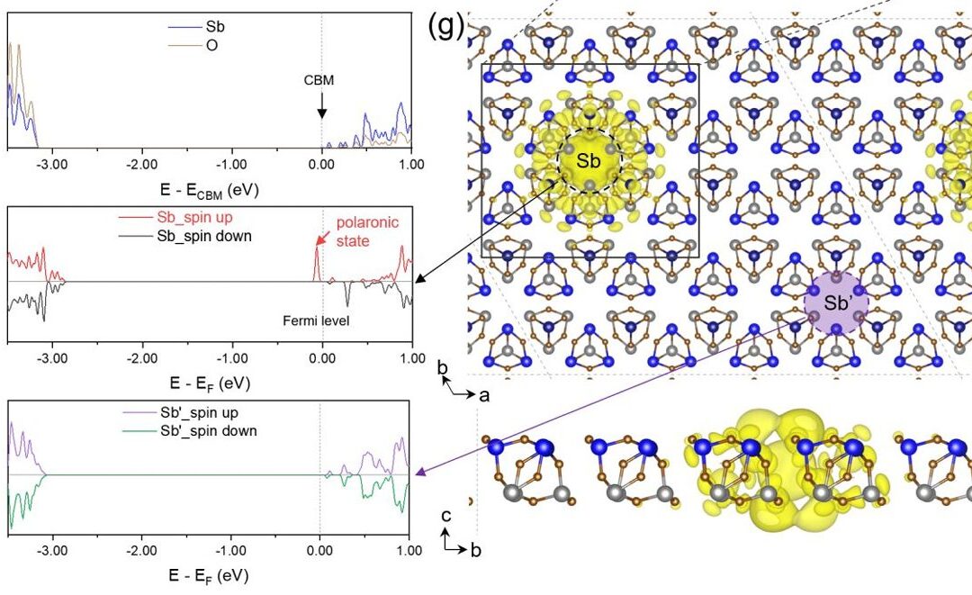 Interlayer coupling modulated tunable states in superlattice